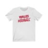 Wales Euro Cup 2020 t-shirt